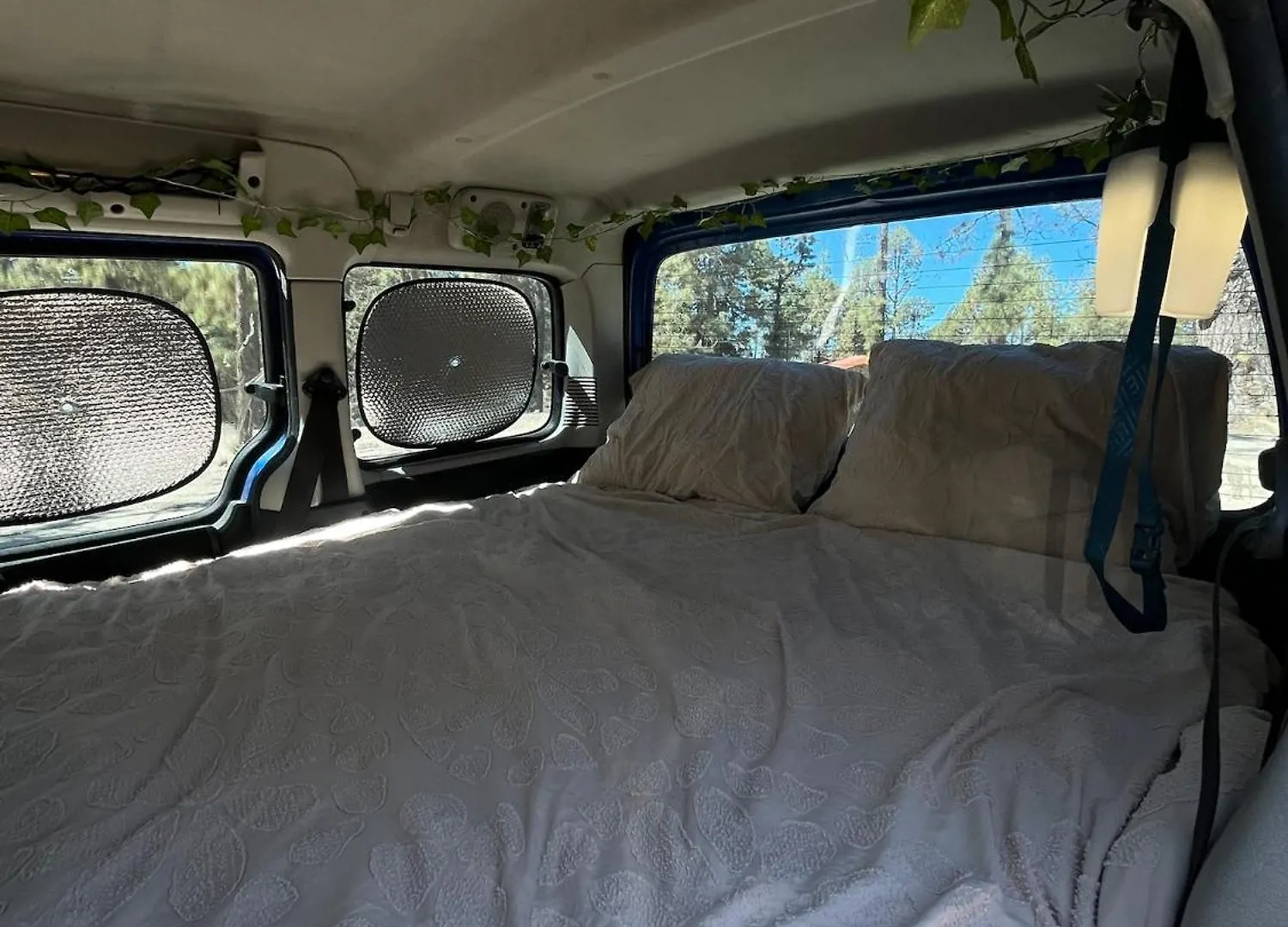 Campervans El Médano