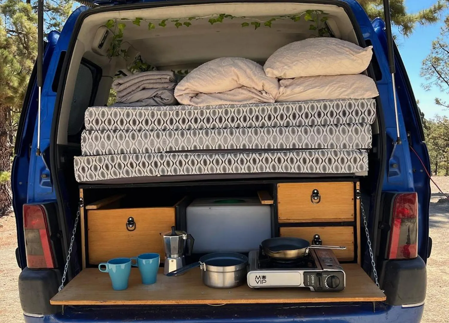Campervans El Médano 0*,